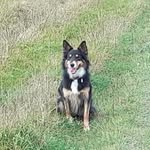 John Pickford - @john.pickford.712 - Instagram