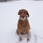 Jonathan Pike - @pike.jonpike.jonathan80 - Instagram