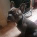 Jon Poole - Facebook