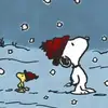 jonathanthepoor - @jon.quist - TikTok
