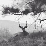 Jon Post - @jon.post_9 - Instagram
