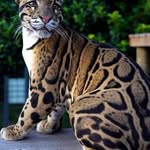 jon powers - @jon.powers876 - Instagram
