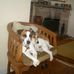 Jon Prentice - Facebook