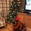 jonprentice317 - @jonprentice317 - TikTok