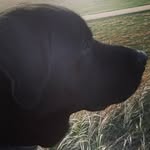Jon Priest - @_wanderlustfam_ - Instagram