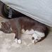 Jon Pritchett - Facebook