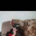 Jonny Pritchett - Facebook