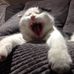 Jon Proffitt - Facebook