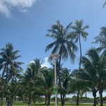 Jon Protzman - @jpro305 - Instagram