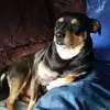 John Putman - @john.putman5 - TikTok