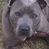 Jonathan Putman - @jonathan.putman - TikTok