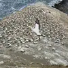 Jone Racei - @jone.racei - TikTok