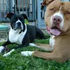 John Ramey - @john.ramey70 - TikTok