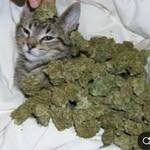Jon Ramirez - @joonnn2606 - Instagram