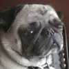 Jon Raynor - @jon.raynor - TikTok