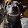 JonRedd - @jonredd6 - TikTok