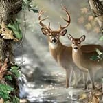 Jon Reeder - @reederjon - Instagram