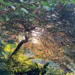 Jon Reeder - @croydonalps - Instagram