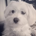 Jon Reilly - @jonreilly - Instagram