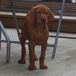 John Rennie - @john.rennie - Instagram