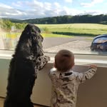 John Rennie - @john.rennie.169 - Instagram