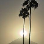 Jon Riedel - @jonriedel - Instagram