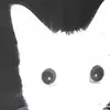 jonathonrinehart - @jonathonrinehart - TikTok