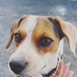 Jon - @jonringer22 - Instagram