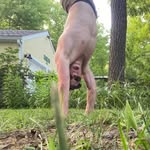 Jon Rittenhouse - @therealrittenhouse - Instagram