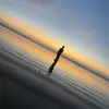 Jonathan Roark - @jonathan.roark - TikTok
