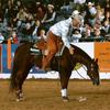 Jon Roeser Cow Horses - @jonroeser - TikTok