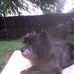 Jon Roland - Facebook