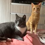 Grey e Neneco Jon Romeo - @grey_e_neneco_romeo - Instagram