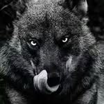 John Rucker - @john.rucker.585 - Instagram