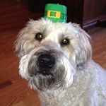 John Rumley - @johnrumley36 - Instagram