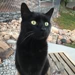 Jon Rusch - @jonrusch1 - Instagram