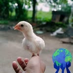 Jon Ryu - Facebook