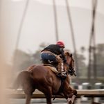 John W Sadler Racing - @johnsadlerracing - Instagram