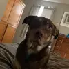 jonsadler656 - @jonsadler656 - TikTok