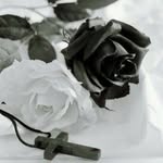 Jon Salazar - @jon_salazar06 - Instagram