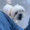 Jon Sales - @jon.sales4 - TikTok