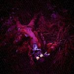 Cassie Worm - @jonscheer516 - Instagram