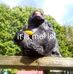 Jon Schilling - Facebook