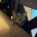 John Schlueter - @conducted8 - Instagram