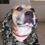 Jon Seaman - @czmygun - Instagram