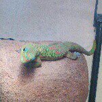 John Searcy - @josearcy - Instagram