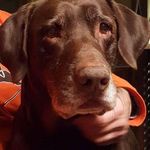 John Secrest - @secrest1980 - Instagram