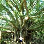 Jon Sherwood - @sherwood.jon - Instagram