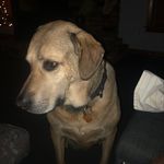 Jon Sherwood - @jon_sherwood29 - Instagram