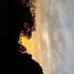 Jon Sherwood Carpenter - @amazing_california - Instagram